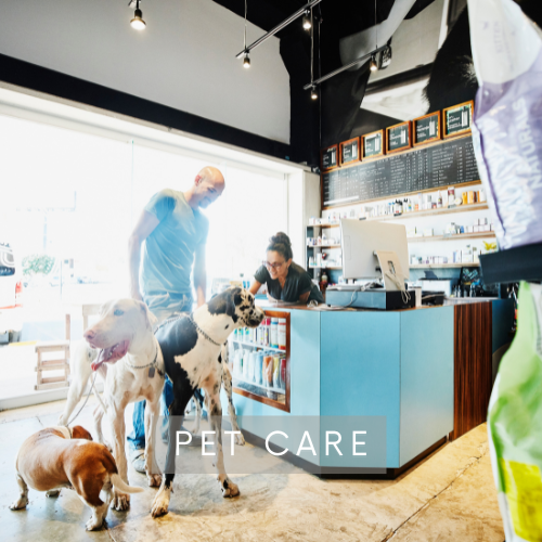 Experience the best in pet care with our Comprehensive At-Home Pet Care Services. We offer grooming, health check-ups, regular walks, and playtime to ensure your pets stay happy, healthy, and well-cared for.